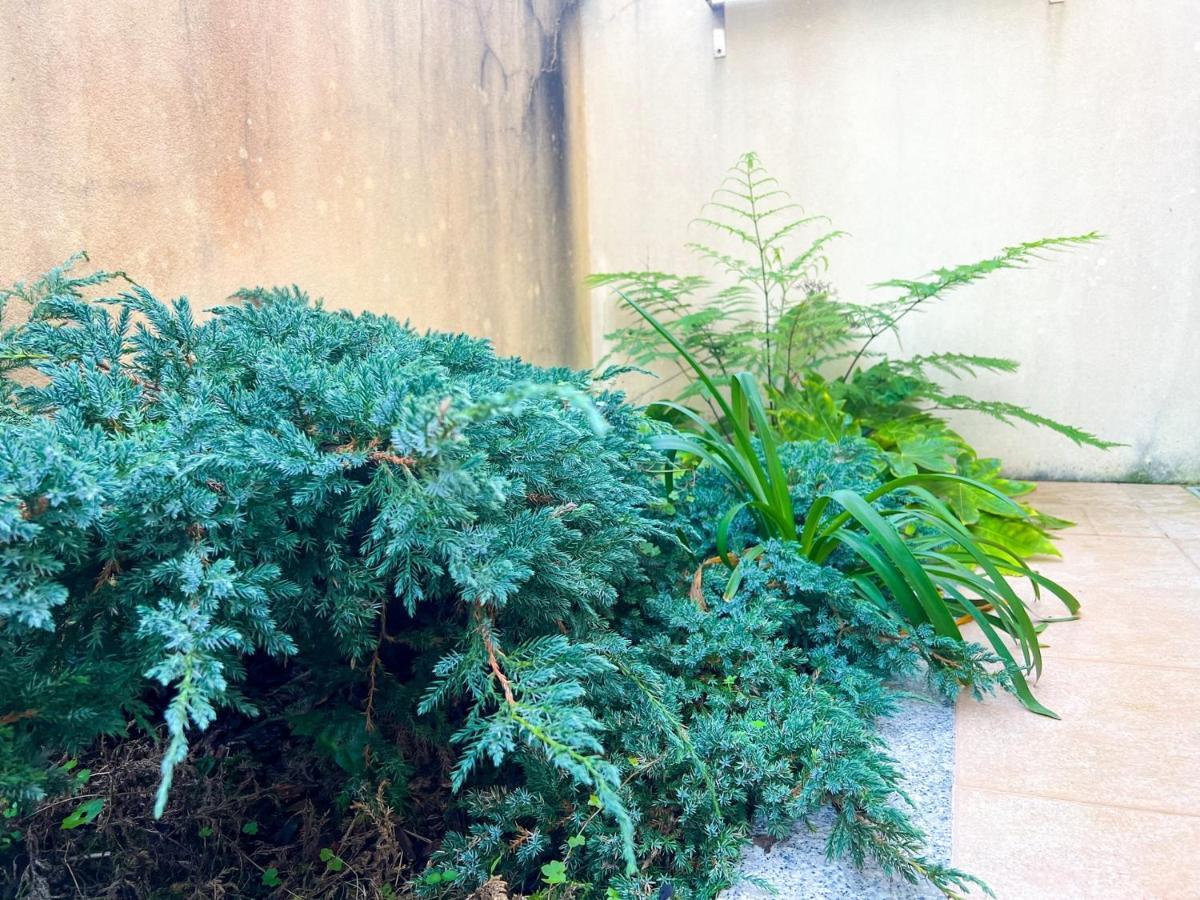 Appartement - Plage De Furadouro - Rico'S Homes โอวาร์ ภายนอก รูปภาพ